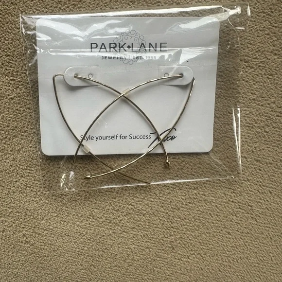 Park Lane Gold Hoop Earrings - Picture 4 of 4